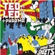 Ted Leo + Pharmacists - Shake The Sheets